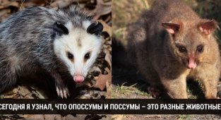 Сегодня я узнал: 29 фактов, которые доказывают, что учиться никогда не поздно (30 фото)