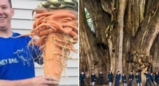 15 поразительных вещей, которые не встретишь каждый день (16 фото)