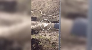 Чистка сточных труб