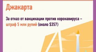 Как штрафуют в разных странах за отказ от вакцинации? (10 фото)