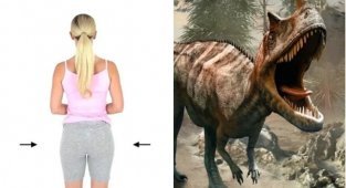 20 любопытных сравнений и фактов обо всём на свете (21 фото)