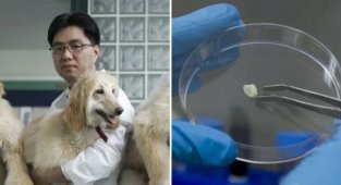 8 научных открытий, которые изменили мир, а мы и не знали (10 фото)