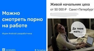 Кто сказал, что работы мечты не существует? Только факты (20 фото)