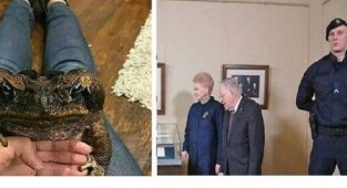 35 гигантов нашего мира (36 фото)