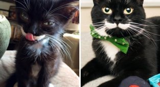 До и после усыновления (37 фото)