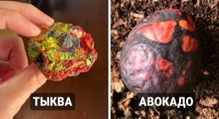Что происходит с вещами, о которых забыли на некоторое время (18 фото)