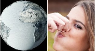 20 любопытных фактов из разных сфер нашей жизни (21 фото)