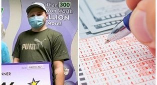 Американец чуть не лишился лотерейного билета с выигрышем в миллион долларов (3 фото)