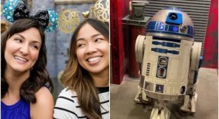 10 самых дорогих товаров из парков Уолта Диснея (11 фото)