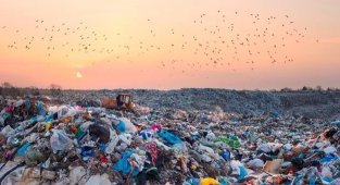 25 Facts About Plastic Pollution That Are Seriously Scary (26 Photos)