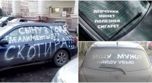 Автоюмор: 20 забавных надписей на лобовом и капоте, привлекающих внимание водителей (21 фото)