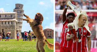 25 фотографий, сделанных точно в нужный момент (26 фото)