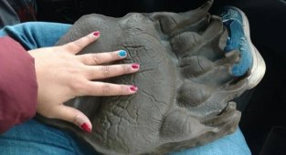 Фотографии, которые показывают, что мир лучше всего познавать в сравнении (18 фото)