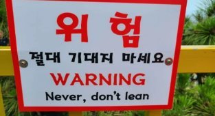 No snorting or terrible English of Koreans (14 photos)