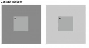 Оптическая иллюзия показала, как «видят» люди с депрессией (4 фото)