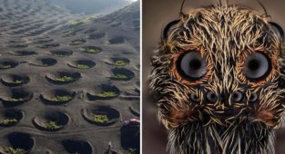 15 увлекательных снимков необычных вещей (16 фото)