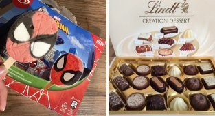 16 случаев, когда ожидания совпали с реальностью (17 фото)