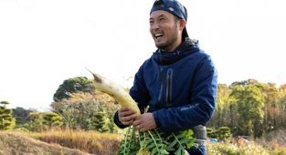 Дайкон - почему его так любят японцы и едят почти каждый день (20 фото)