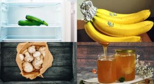 Свежее вкусней: простые советы, как продлить срок хранения некоторых продуктов (11 фото)