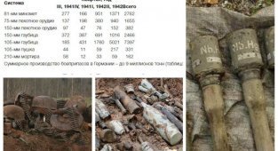 Сколько еще боеприпасов лежит на полях сражений ВОВ: страшные находки в цифрах и фактах (27 фото)