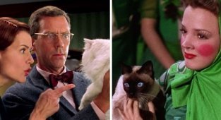 35 фильмов для тех, кому нравится, когда в кадре появляется кошка (36 фото)