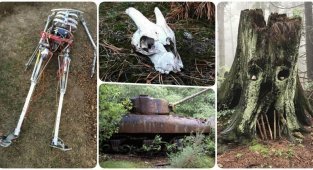 20 загадочных находок, которые люди случайно обнаружили в лесу (21 фото)