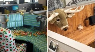 20+ странных и забавных рабочих мест в офисах (23 фото)