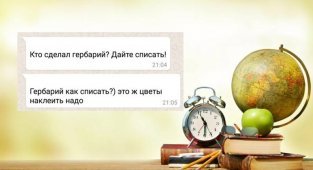 Филиал ада на земле, или наглядно о родительских чатах (16 фото)