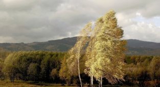 Влияние западных ветров на климат и погоду (3 фото)