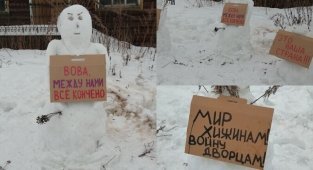 В Архангельской области разогнали пикет снеговиков (9 фото)