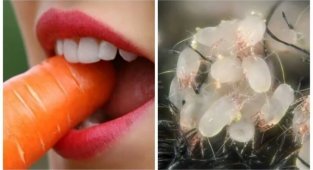 30 сумних, але достовірних фактів у вашу скарбничку знань (31 фото)