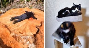 45 увлекательных фотосравнений из самых разных областей жизни (46 фото)