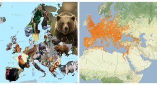 30+ interesting maps that will expand your understanding of the world (34 photos)