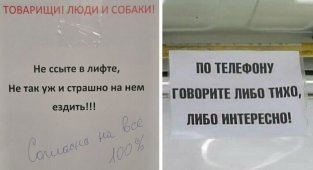 14 забавных объявлений, которые могли написать только люди из России (15 фото)
