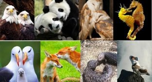 Однолюбы (25 фото)