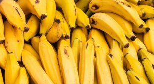 20 интересных фактов о бананах (7 фото + 1 видео)