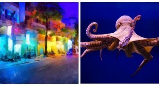 15 фактов обо всём на свете, которые расширят ваш кругозор (16 фото)