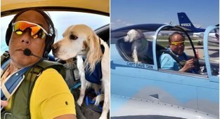 Пилот на пенсии перевозит животных, которым нужна помощь (16 фото)