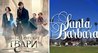 10 фильмов  и сериалов, чьи названия ушли в народ и стали  использоваться в повседневной жизни (12 фото)