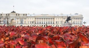 Петербургу осень к лицу (13 фото)