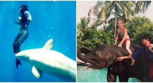 Шесть историй о животных, которые спасли людей от гибели (7 фото)