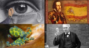 Непритомний мозок, Nike з вафельниці та інші цікаві факти з різних сфер (10 фото)