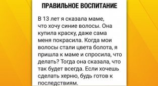 Воспитание детей — квест, в котором валютой выступают нервы родителей (18 фото)