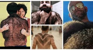 Они существуют: 15 шерстяных мужчин, которые не стесняются быть всегда в свитере (15 фото)