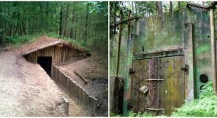 Заброшенные дома и бункеры в лесу (16 фото + 1 видео)
