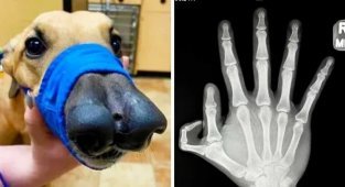 Не уродливые, а особенные (19 фото)