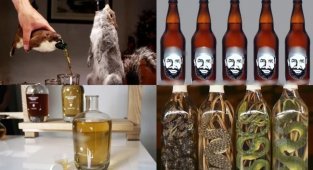 То, что не очень хочется пробовать: самый странный алкоголь со всего мира (13 фото)