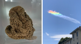 35 необычных находок обычных людей (36 фото)