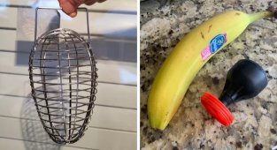 15 mysterious kitchen gadgets, the purpose of which was discovered thanks to experts (16 photos)