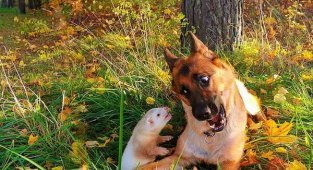 Дружбаны (12 фото)